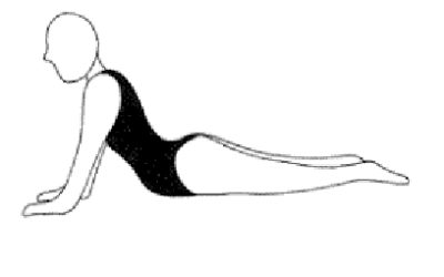 Stretching – Exercises for your back